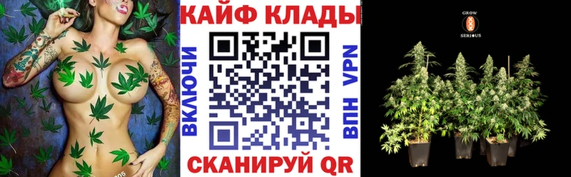 Купить закладку ГЕРОИН Меф Cocaine Новочеркасск